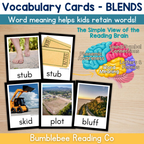 1 Beginning Blends Vocabulary Cards Phonics Comprehension Meaning