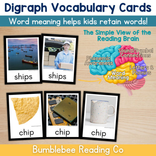 1 Digraph Vocabulary Cards Phonics Comprehension Meaning Consonant Digraphs