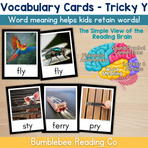 1 Tricky Y (Y as a vowel) Vocabulary Cards Phonics Comprehension Meaning