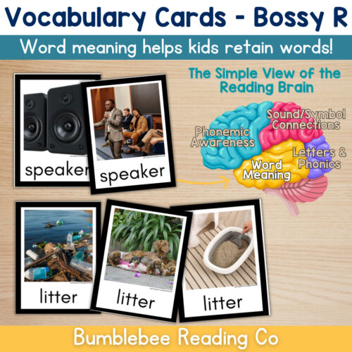 1 Bossy R Vocabulary Cards Phonics Comprehension Meaning
