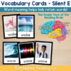 1 Silent E CVCE Vocabulary Cards Phonics Comprehension Meaning