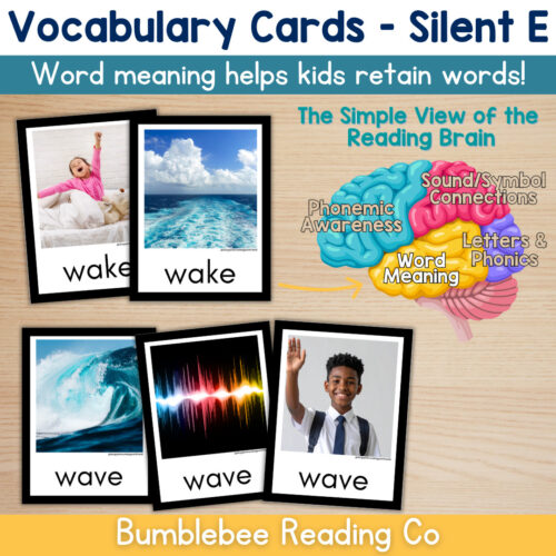 1 Silent E CVCE Vocabulary Cards Phonics Comprehension Meaning