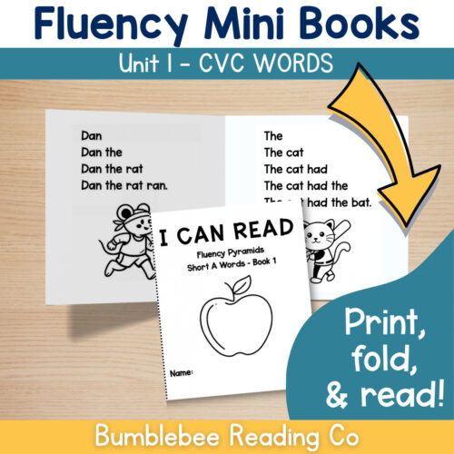 1 Fluency MINI BOOKS Foldable – CVC Words Phonics Decodables
