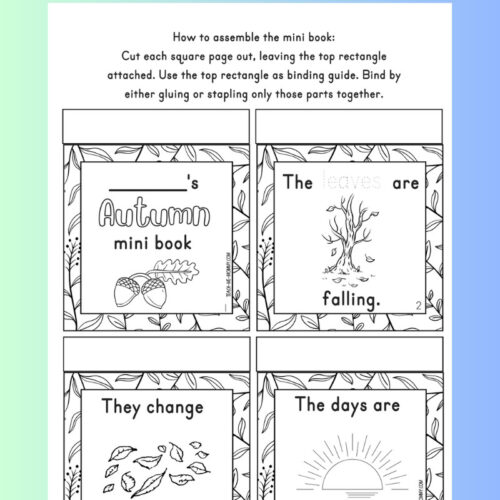 mini books inside