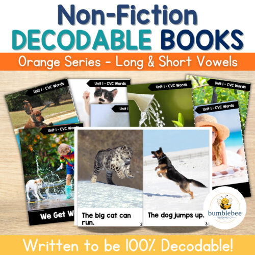 Non-fiction decodable books for early readers featuring orange series with long and short vowels, including animal and nature themes.