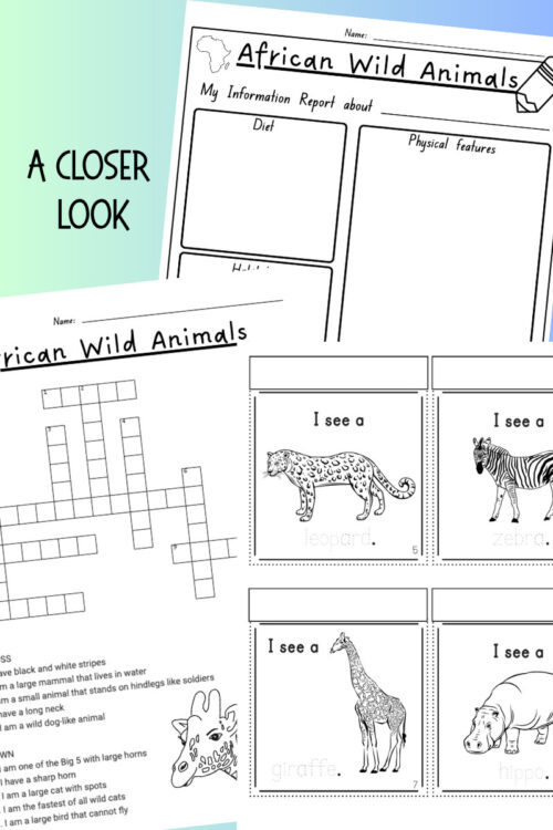 1 Educational worksheets on African wild animals for homeschooling, including animal reports, crosswords, and identification activities.