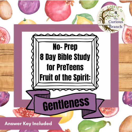 15 Bible Study for PreTeens | No Prep | Fruit of the Spirit | Gentleness