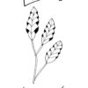 17 Illustrate Your Faith Through Advent | Jesse Tree Edition | A Coloring Book for All Ages | No Prep