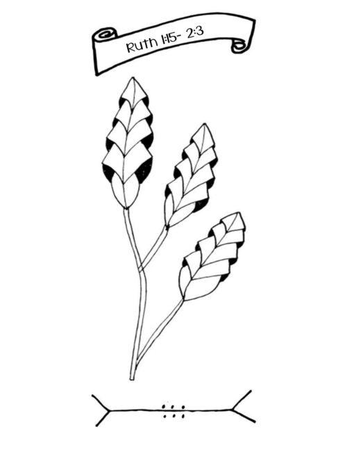 17 Illustrate Your Faith Through Advent | Jesse Tree Edition | A Coloring Book for All Ages | No Prep