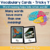 2 Tricky Y (Y as a vowel) Vocabulary Cards Phonics Comprehension Meaning