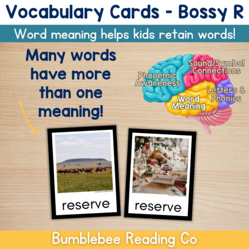 2 Bossy R Vocabulary Cards Phonics Comprehension Meaning
