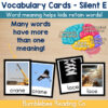 2 Silent E CVCE Vocabulary Cards Phonics Comprehension Meaning