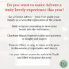 2 Inspirational Advent message encouraging family reflection, scripture journaling, and celebrating the season with grace and truth.