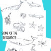 2 Collection of black and white ocean creatures including whales, sharks, jellyfish, starfish, and crabs for homeschooling resources.