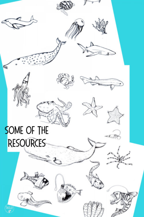 2 Collection of black and white ocean creatures including whales, sharks, jellyfish, starfish, and crabs for homeschooling resources.