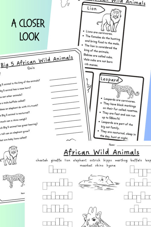 2 Educational worksheet on African wild animals featuring lion, leopard, cheetah, giraffe, and elephant with facts and quiz questions.