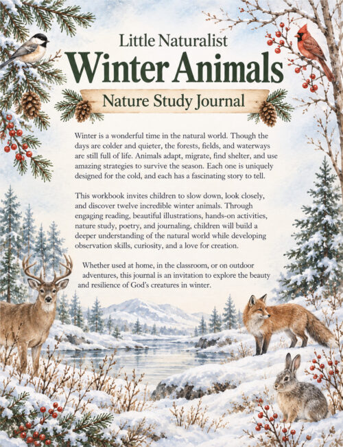 Winter Animals Nature Study Journal Winter Animals Nature Study Journal cover featuring a snowy landscape with deer, fox, rabbit, birds and pine branches.
