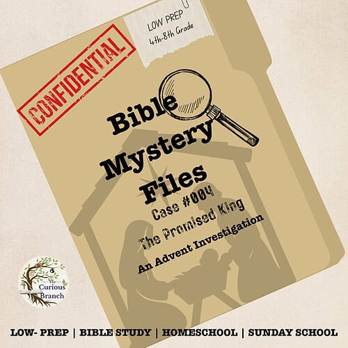 28 Bible Mystery Files Case 004: The Promised King | Bible Investigation Activity | 4th-8th Grade