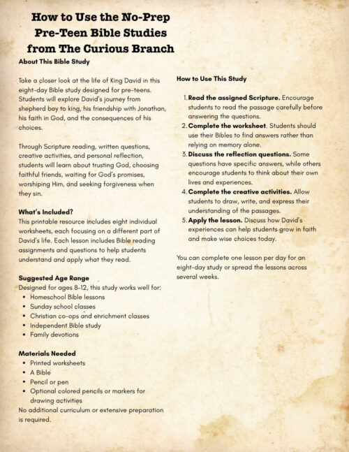 3 Bible Study for Preteens | Getting to Know King David| No Prep