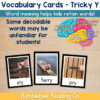 3 Tricky Y (Y as a vowel) Vocabulary Cards Phonics Comprehension Meaning