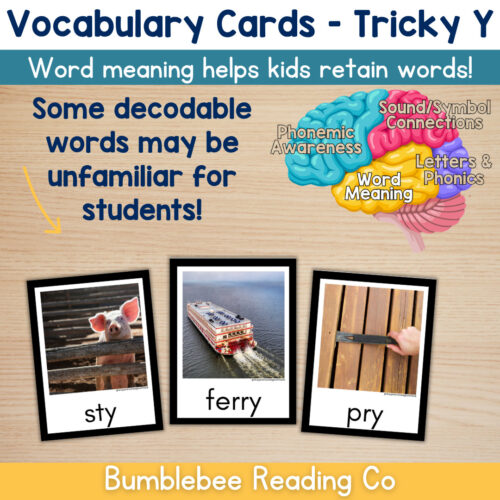 3 Tricky Y (Y as a vowel) Vocabulary Cards Phonics Comprehension Meaning