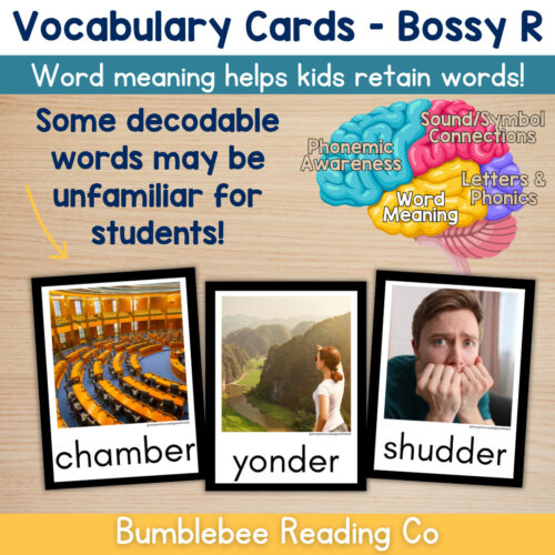 3 Bossy R Vocabulary Cards Phonics Comprehension Meaning
