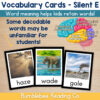 3 Silent E CVCE Vocabulary Cards Phonics Comprehension Meaning
