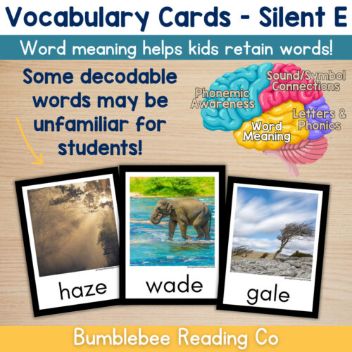 3 Silent E CVCE Vocabulary Cards Phonics Comprehension Meaning