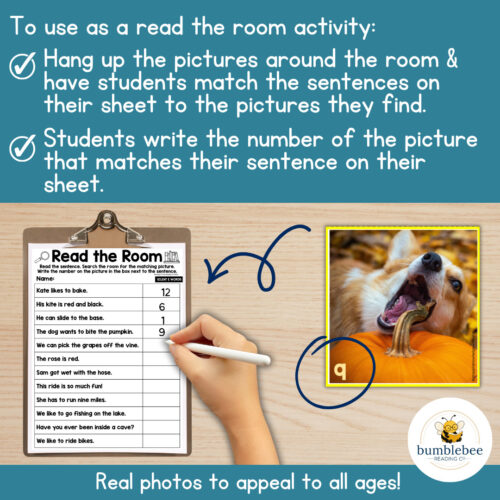 3 Decodable Read the Room & Centers Silent E CVCE & Vowel Teams Phonics
