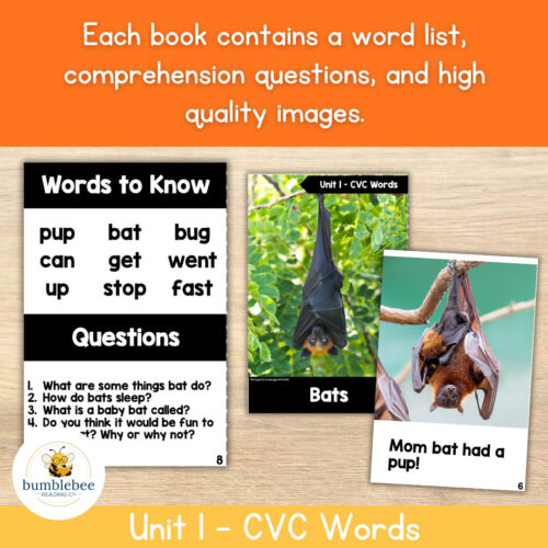 3 Educational image showing bat-themed book and flashcards for homeschooling, with text about word lists and comprehension questions.