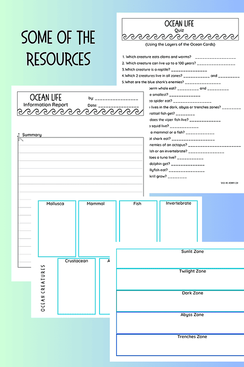 3 Educational worksheet on ocean life with sections for different ocean zones and marine creatures for homeschooling.