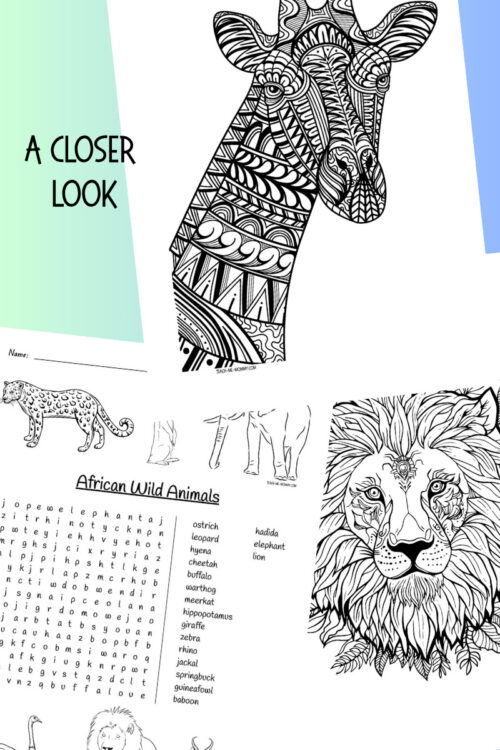 3 Detailed black and white coloring page featuring African wild animals including a lion, leopard, and giraffe, with educational labels and a word search puzzle.