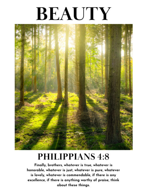 4 Christian Education Poster Set | Truth, Beauty, & Goodness | Instant Download