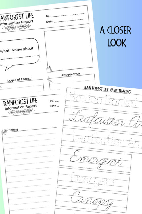 4 Educational rainforest life worksheets for homeschooling, including information reports, appearance sketches, and handwriting practice.
