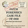 5 Faith Forensics Case FF-003: What Must I Do to Be Saved | High School Bible Investigation | PDF Download