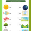 5 Christian Bible Activity Book for Preschoolers | Printable Bible Activities for Kids