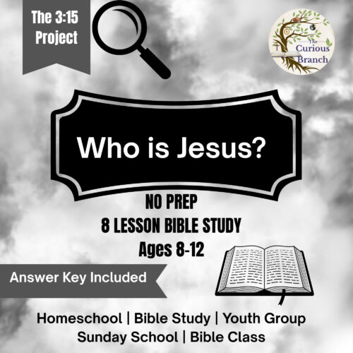 7 Project 315 Bible Study for PreTeens- No Prep- Who is Jesus?