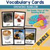 BUNDLEVocabCardsCover Vocabulary Cards for Comprehension Meaning Phonics CVC Blends Digraphs BUNDLE