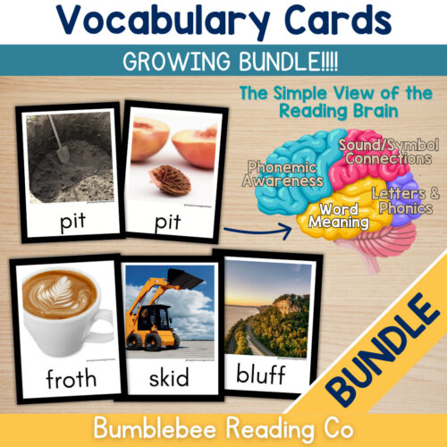 BUNDLEVocabCardsCover Vocabulary Cards for Comprehension Meaning Phonics CVC Blends Digraphs BUNDLE