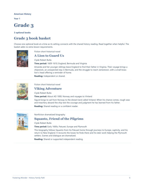 Grade 3 Homeschool Book Basket Homeschool resource basket with three grade 3 books including historical novel, adventure, and biography for homeschooling students.