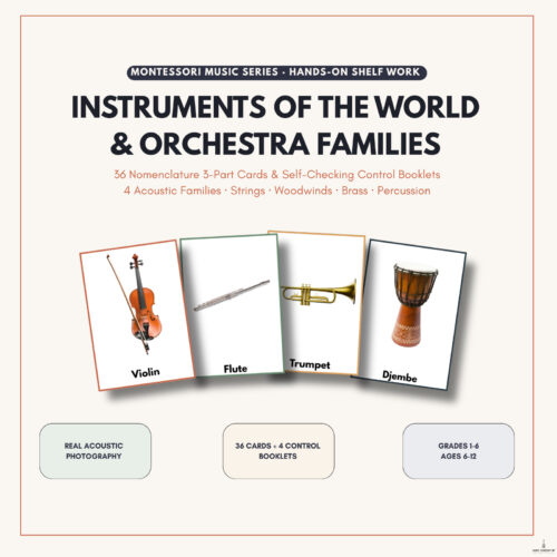 Homeschool Resource Storefront 1.1 Educational image showcasing musical instruments including violin, flute, trumpet, and djembe for homeschool music curriculum.