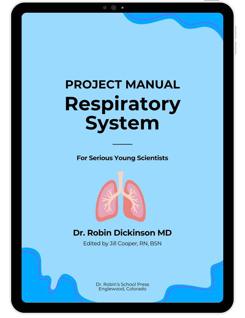 Human Body Projects Respiratory System Body Projects