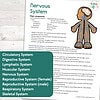 Human Body Systems 2 Human Body Systems Cheat Sheets