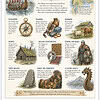 Who Were the Vikings? Educational infographic titled Who Were the Vikings? depicting explorers, traders, farmers, skilled craftspeople, homes, beliefs, family and community, a lasting legacy, and Viking warriors in a styl0.