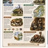 Viking Village infographic Illustration of a Viking village with native land, lifestyle, food, and people in a maritime Nordic setting.