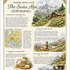 The Swiss Alps infographic Illustration of The Swiss Alps with mountains, a cabin, and surrounding flowers, depicting a scenic alpine landscape.