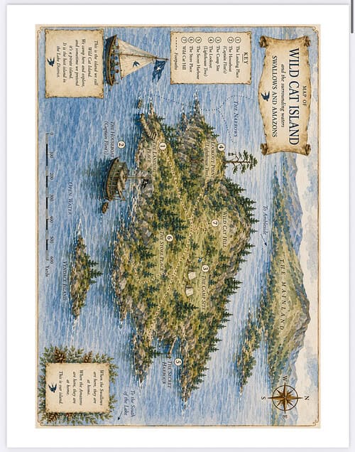 Wild Cat Island Map Illustration Illustrated map of Wild Cat Island featuring labeled landmarks, compass rose, sailing boat, and coastal terrain with blue sea and green trees.