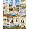 Yellowstone National Park Poster Yellowstone National Park infographic poster featuring landmarks, wildlife like bison and bears, geysers, trails, and colorful park icons for educational and SEO purposes.