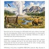 Yellowstone National Park Scene Yellowstone National Park landscape with geyser, bison, mountains and pine trees.
