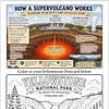 Homeschool Resource Co. Image Overview Educational infographic and coloring postcard showing Yellowstone geology and wildlife for homeschool learning.